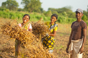 indian-lady-laughing